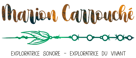 Logo Marion Carrouché